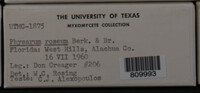 Image Associated With the Occurence